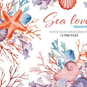 Clipart de acuarela de mar tropical de verano, arrecife de coral colorido y conchas marinas, 12 elementos PNG de playa oceánica, decoración náutica costera para bodas.