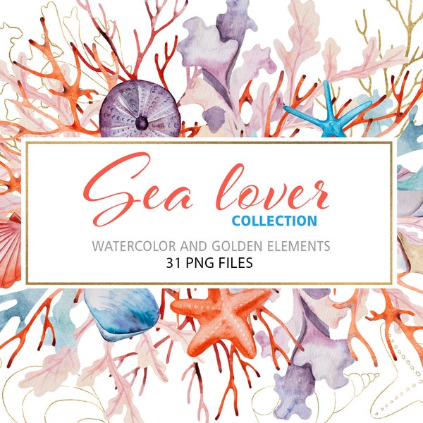 Watercolor abd golden tropical sea elements - seaweeds, seashells, corals and sea urchin, 31 PNG wedding illustrations instant download