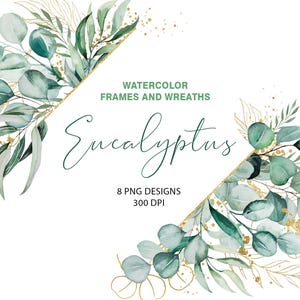 Aquarel groene eucalyptus clipart, eucalyptus groen frames met gouden elementen, 8 png, premade clipart, bruiloft decor en briefpapier
