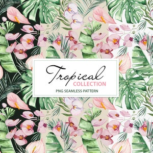 Modèle sans couture aquarelle de feuilles et de fleurs tropicales, orchidée, palmier, monstera, banane, 3500x3500px PNG illustration téléchargement immédiat
