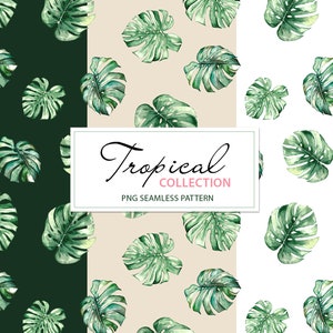 Aquarell tropische Monstera Blätter Muster, Brasilien Grün, 4000x4000px PNG Illustration sofortiger Download