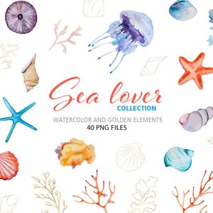 Watercolor Ocean elements - Seaweed, Corals, SeaShells, Sea Urchin, 40 PNG, Bright Nautical Summer Clipart, beach Wedding Invites and party