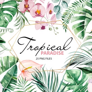 Aquarelle paradis tropical feuilles et fleurs clipart, feuillage, orchidée, Monstera, banane, palmier, jungle du Brésil, téléchargement immédiat 25 PNG