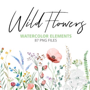 Aquarelle éléments floraux - fleurs sauvages colorées et feuilles vertes pour le mariage d’été et la papeterie de fête 87 PNG téléchargement instantané