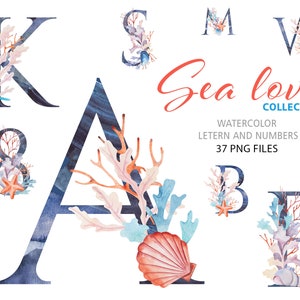 Letras de mar de acuarela, números y ampersand, algas, conchas marinas, corales y erizos de mar, alfabeto 37 PNG Monograma de boda descarga instantánea