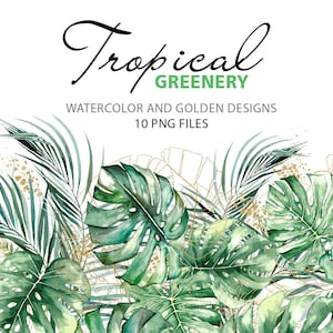 Aquarel tropische lijsten en boeketten met gouden en groene bladeren, oerwoudgroen, 10 png-illustraties direct downloaden