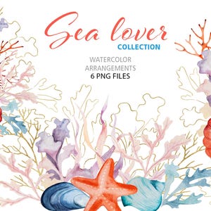 Watercolor Summer Tropical Sea Clipart, Colorful Golden Coral Reef and SeaShells, 6 PNG Beach Ocean Elements, Nautical Coastal Wedding Decor