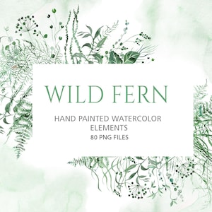 80 PNG Blätter von Farn, Spargel, Gras & Farnblättern, botanische wald-inspirierte Elemente für die Schreibwaren