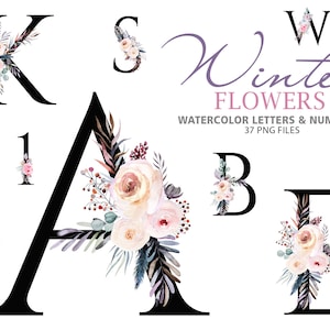 Hochzeit Winter Floral Alphabet Buchstaben und Zahlen mit Aquarell Pastell Rosen und Blättern, Monogramm Clipart 37 PNG Illustrationen