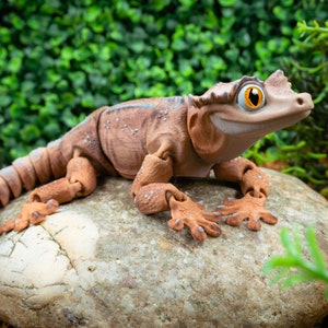 Crested Gecko Fidget Toy, Eyelash gecko