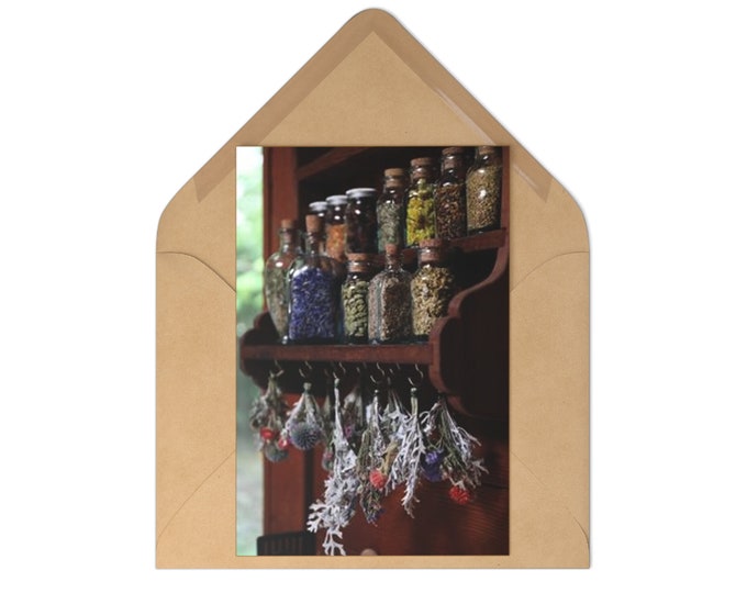 Apothecary Shelf Postcards (7 pcs)