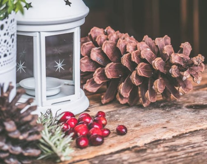 Seasonal Prints- Winter