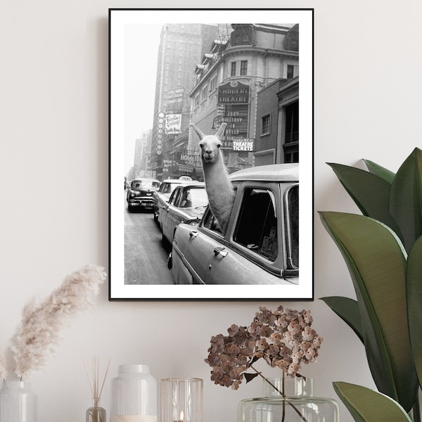 Llama in Town Download, Llama in Town Printable Poster, Fashion Photo, Elegant Decor, Chic Wall, Easy Print