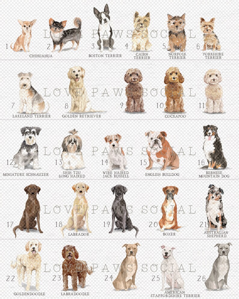 DOG ART PRINTS Boho Dog Art Modern Dog Art Farmhouse Dog Etsy