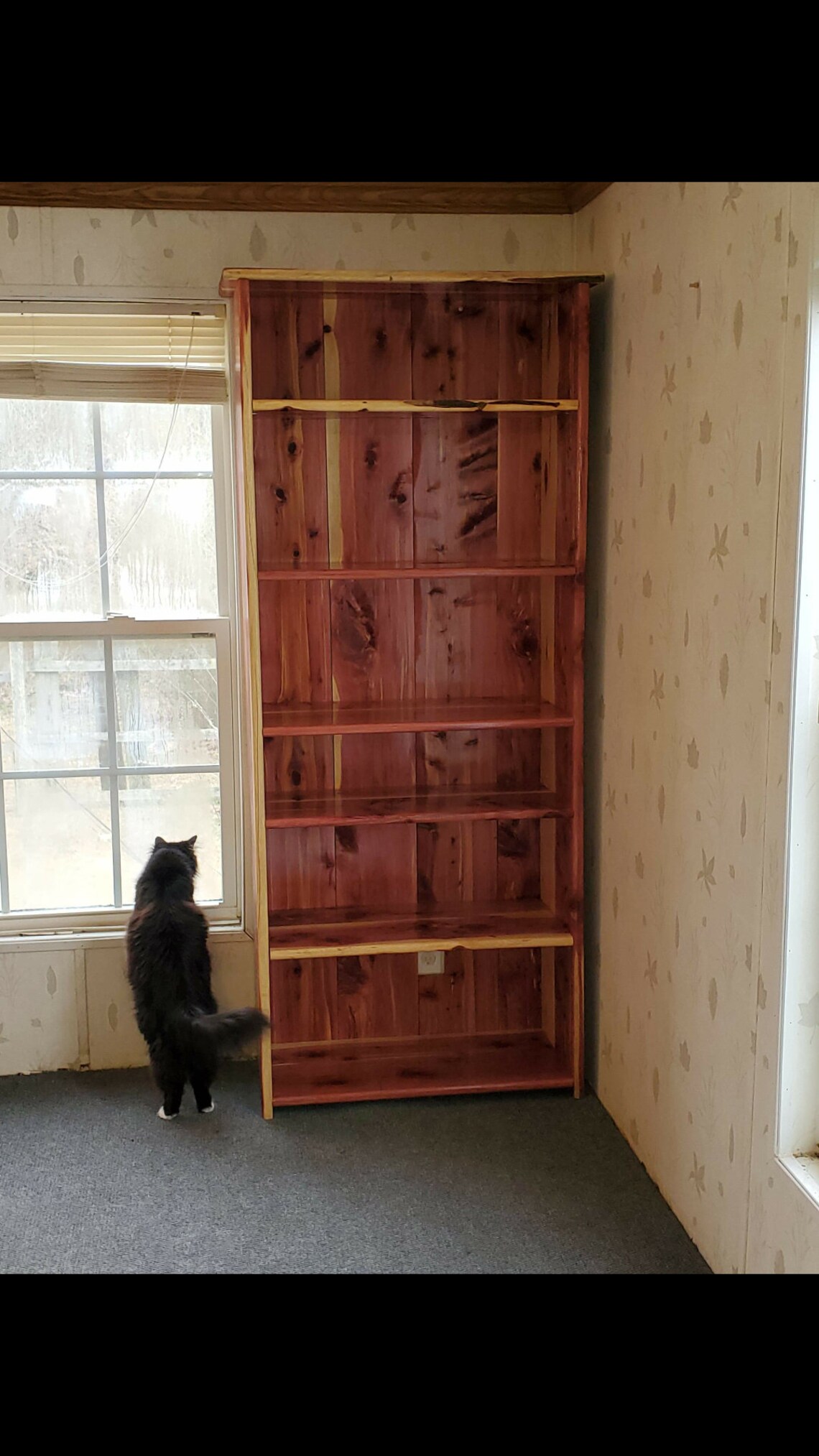 Red Cedar Bookcase Etsy