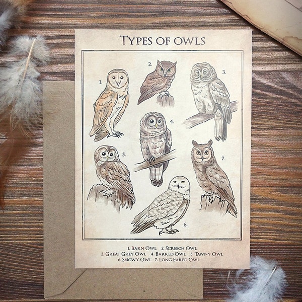 Carte A5 Types of owls - Illustration - Impression - Hiboux - Chouette - Hedwige