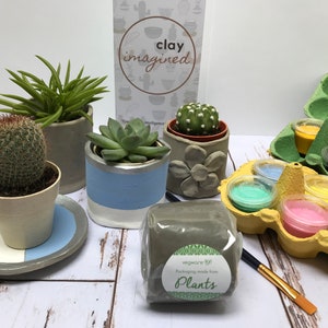 Eco-friendly Pottery Home Clay Kit - Make your own Pottery Pot with Succulent Cactus - Date Night Birthday Present Mothers Day Anniversary