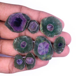 Op de afbeelding: Een verzameling gepolijste edelsteenplakken in groen- en paarstinten. De stenen hebben een cirkelvormige of ovale vorm, met een donkerpaars centrum en een groene buitenring. De edelstenen worden in een hand gehouden.