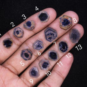 May include: Thirteen loose, flat, hexagonal-cut tourmaline slices arranged in numerical order. Each gemstone features a dark blue or black center surrounded by lighter, earthy brown or tan outer rings, showcasing natural color zoning and patterns.
