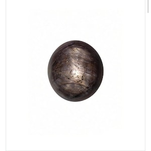 May include: A round, polished cabochon gemstone with a dark brownish-gray hue. The surface displays a distinct six-rayed star effect, known as asterism, which appears as a bright, intersecting light pattern across the center of the stone.