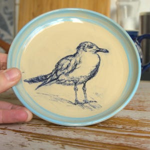 Könnte beinhalten: Ein Keramikteller mit blau-weißem Rand und einem handgezeichneten Bild einer Möwe in der Mitte.