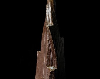 Kurinuki Sculpture No. 92/24 – Wood-Fired Ceramic
