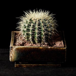 Handmade Wabi-Sabi Ceramic Planter – Bonsai & Succulent Pot with Saucer