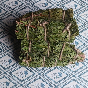 Zedernholz Zauberstäbe