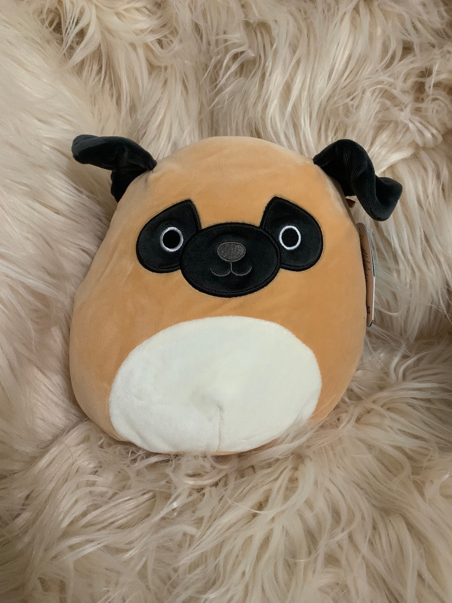 8 in personalized Dog Squishmallows | Etsy