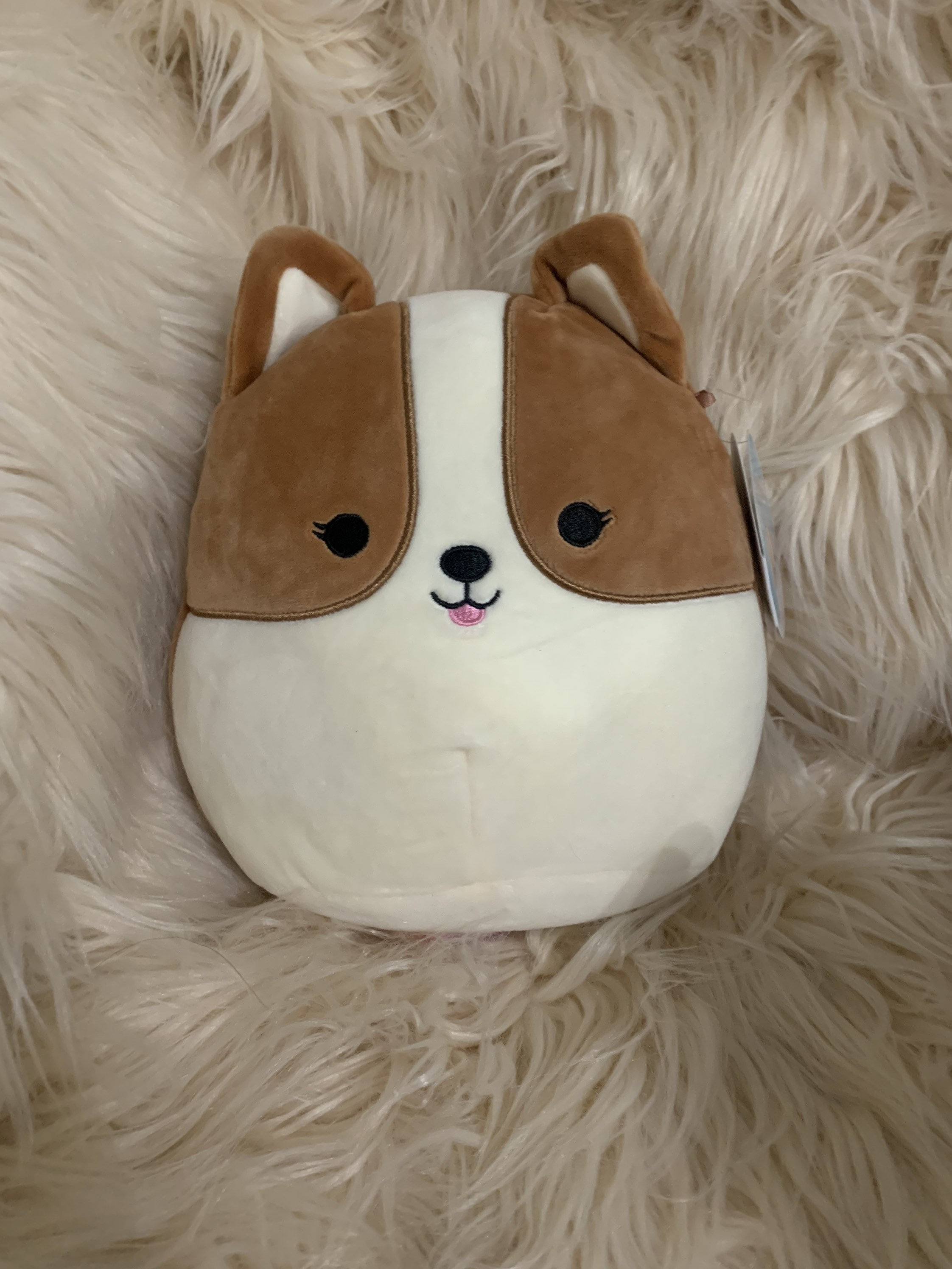 8 in personalized Dog Squishmallows | Etsy