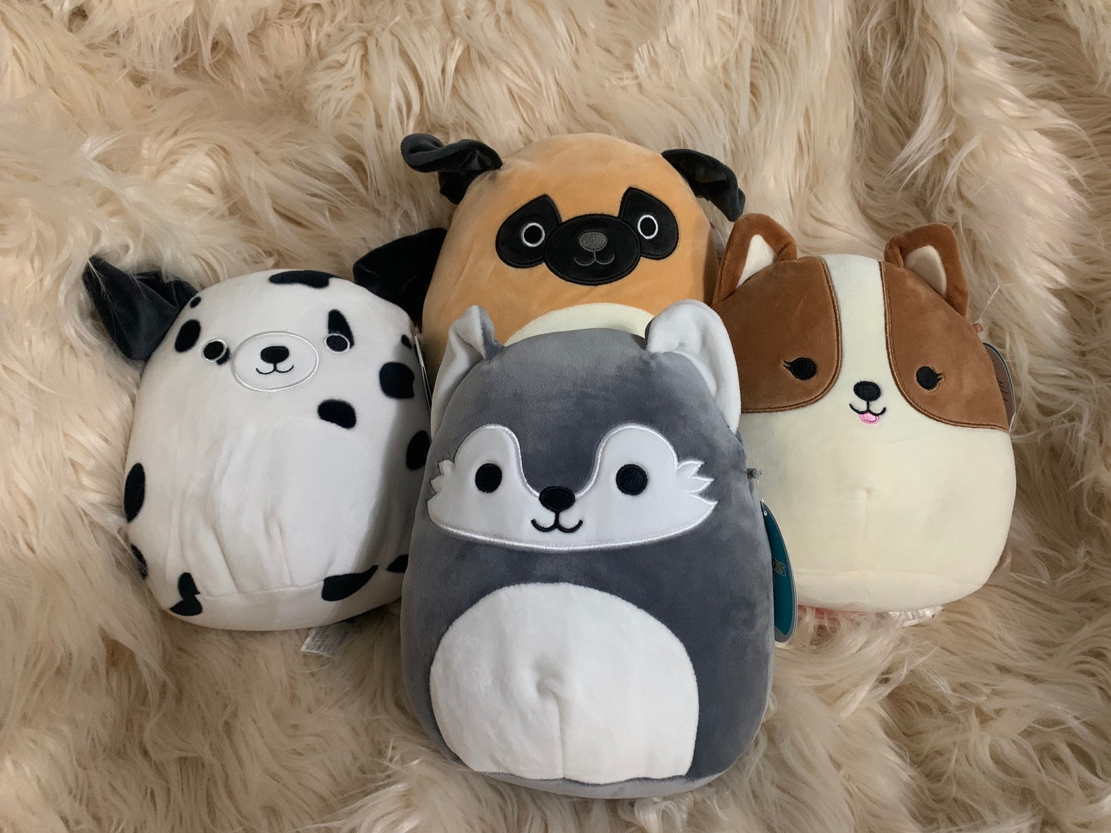 8 in Personalized Dog Squishmallows | Etsy