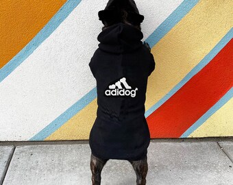 dog adidas sweatshirt