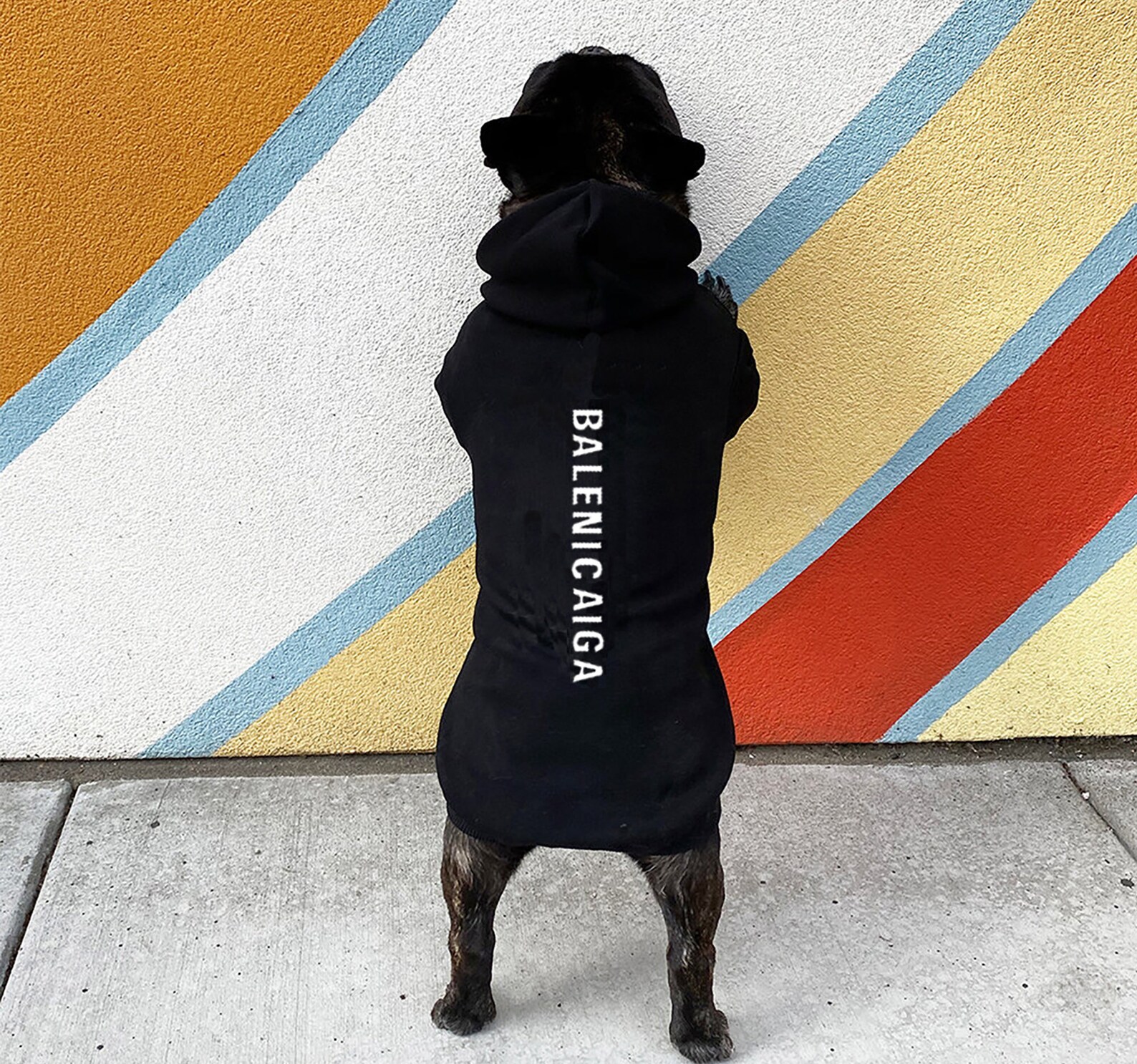 Designer Inspired Dog Hoodie Sweatshirt Etsy