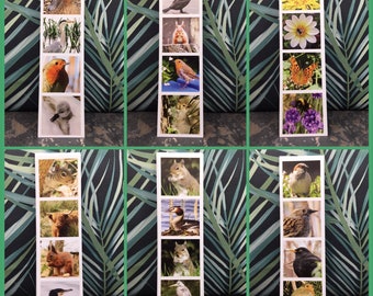 Wildlife Multi Photo Magnets
