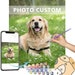 Custom Paint by Number kit DIY Paint by Numbers Paint Your Photo Personalized Custom Gift Paint By Number Kit for Adult Kids Beginner 