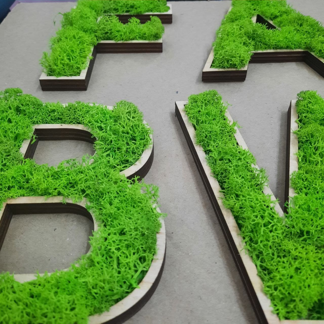 Moss Wall Art Frame Moss Wall Art Set Moss Wall Decor Etsy