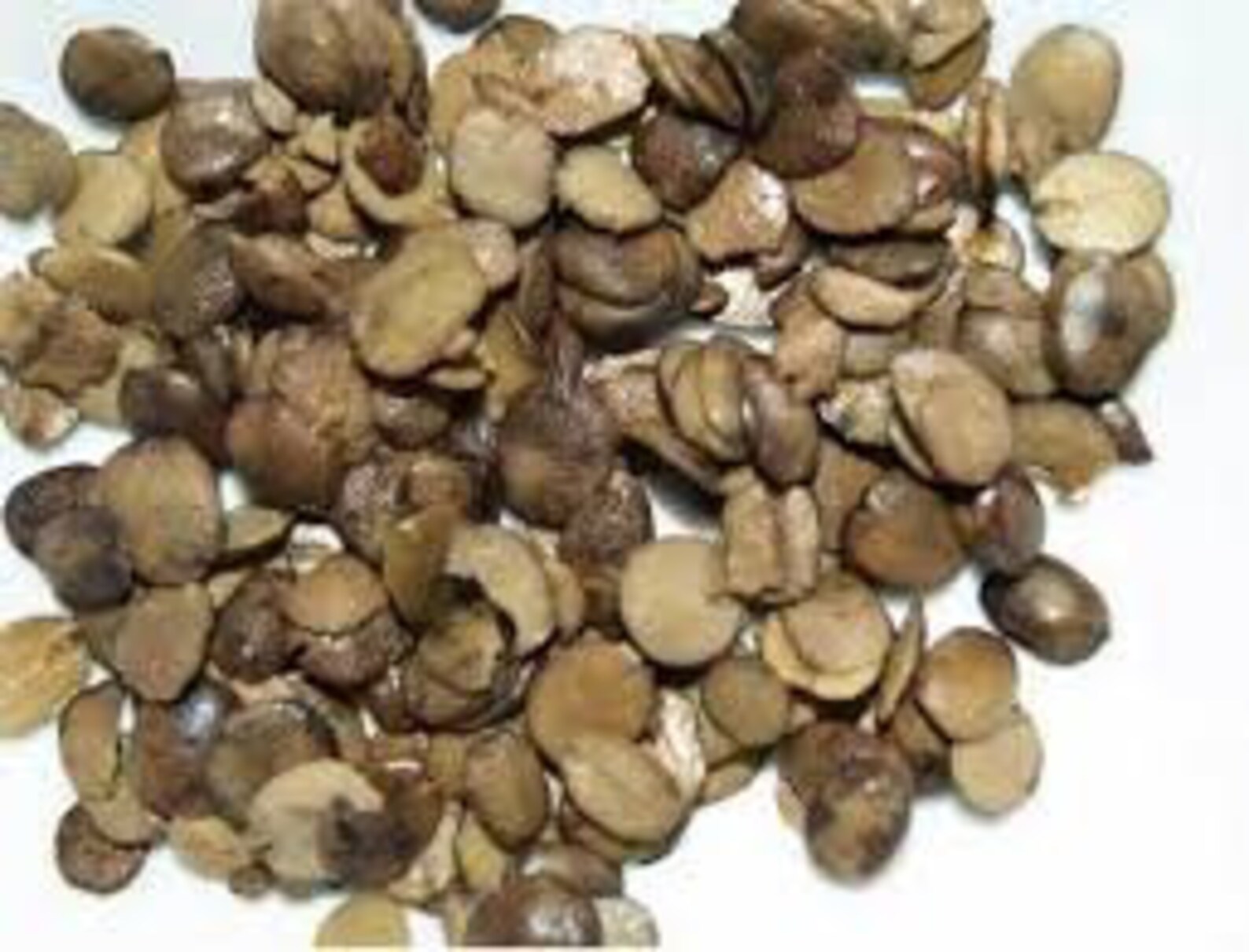 2 Packs Fresh locust bean/ Iru Ogiri African Locust Beans 6 Etsy
