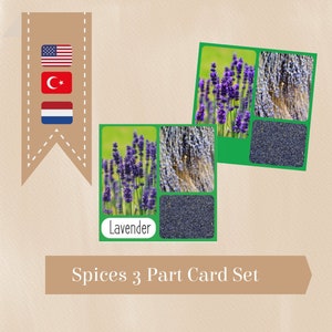 Kräuter und Gewürze Montessori Karten, Nomenklatur Flash 3 Teile Lehrmaterial Homeschooling PDF Englisch Türkisch Niederländisch