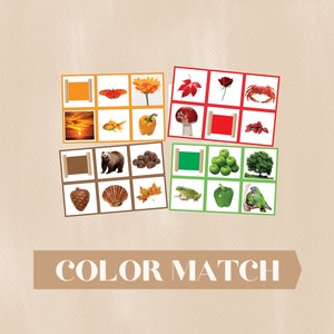 Op de afbeelding: Een kleurmatchspel met afbeeldingen van een zonsondergang, een vis, een paprika, een beer, een schelp, bladeren, een kikker, een groene paprika, een papegaai, een vlinder, een bloem, een blad, een paddenstoel, een rode roos, een krab, een dennenappel, kastanjes, een boom, appels en een rood vierkant. Het spel heet "COLOR MATCH".