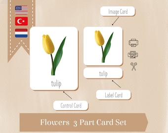 FLOWERS Cards Montessori Nomenclature Flash 3 Parts Educational Material Homeschooling PDF English Turkish Dutch