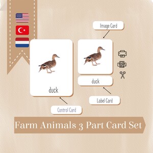 FARM ANIMALS • 10 Montessori Cards • Flash Cards Nomenclature Cards Pdf Printable Cards Preschool