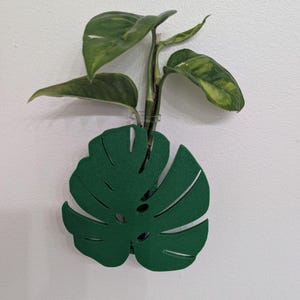 Monstera Plant Propagation Wall Planter | Plant Propagation | Wall Decor | Propagation Tube | Gifts for Her | Window Decor