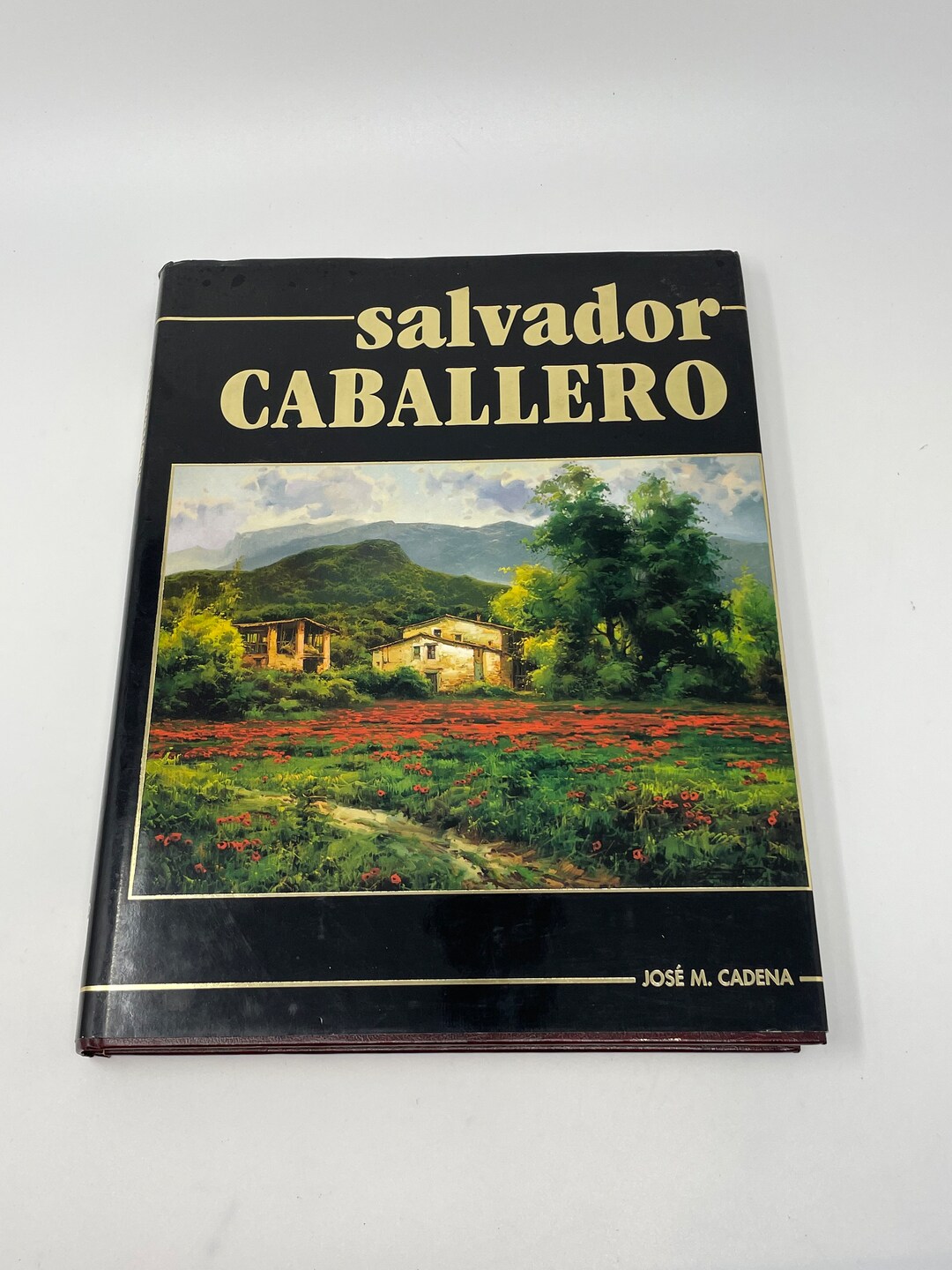 Vintage Art Coffee Table Book, Spanish Artwork, Landscape Artist, Gift