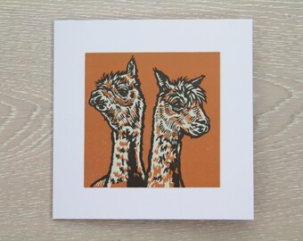 Alpacas Greetings Card
