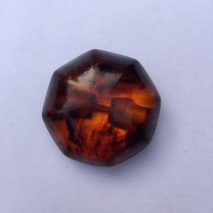 Chunky Tortoise Shell Bakelite Button