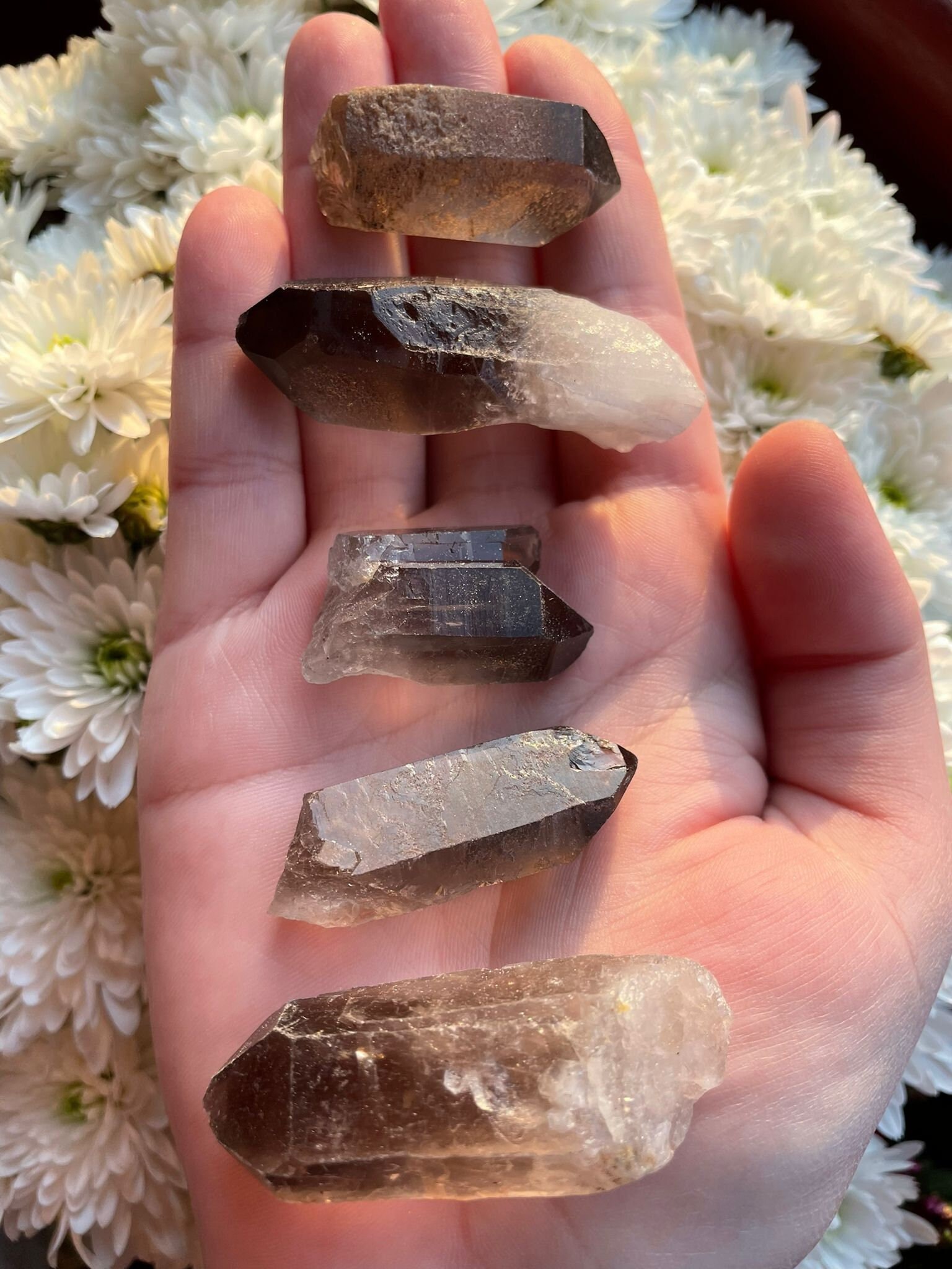 Pointes Quartz Fumé