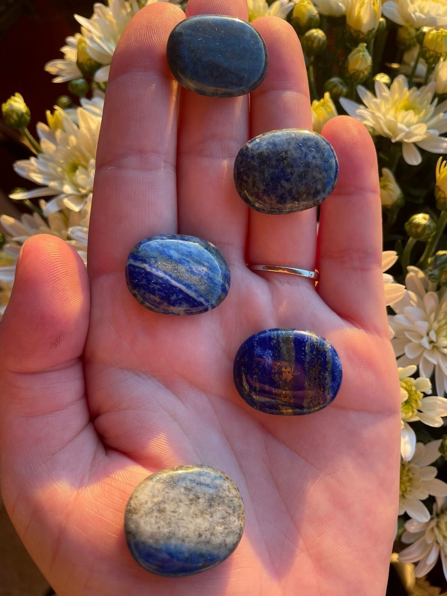 Pierre de Soucis Lapis-Lazuli