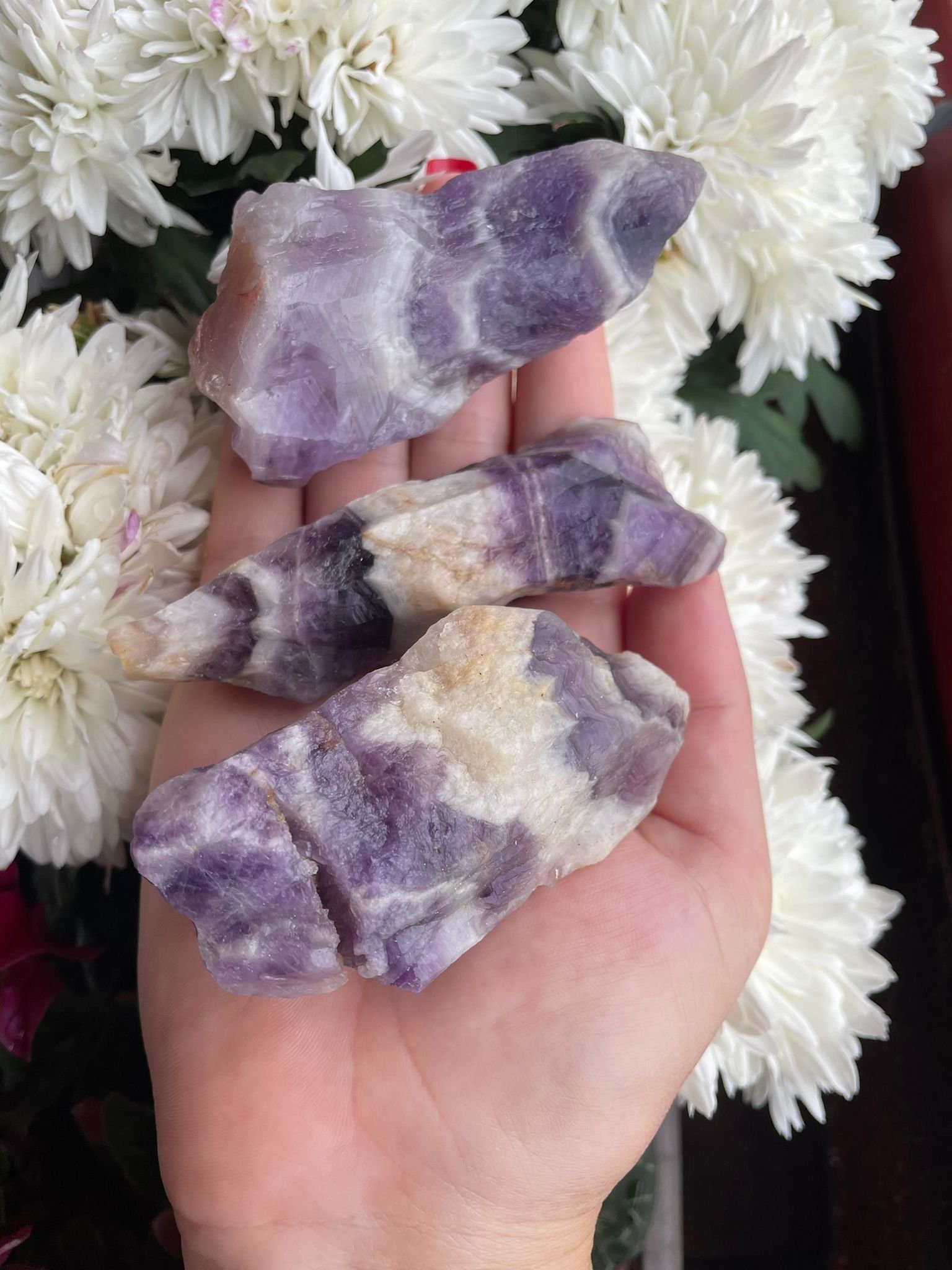 Améthyste Chevron Brut