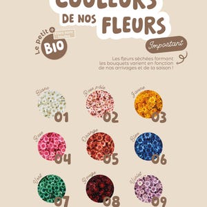 May include: A chart showing nine different colors of dried flowers, labeled in French. The colors are white, pale pink, yellow, pink, orange, blue, green, red, and purple. The text at the top of the chart reads "Les Couleurs de Nos Fleurs" and "Le Petit + Bio". The text at the bottom of the chart reads "Projet particulier ou demande d'info pour les couleurs: - via le chat d'Etsy - par mail: commandes@maxetsylvie.com".
