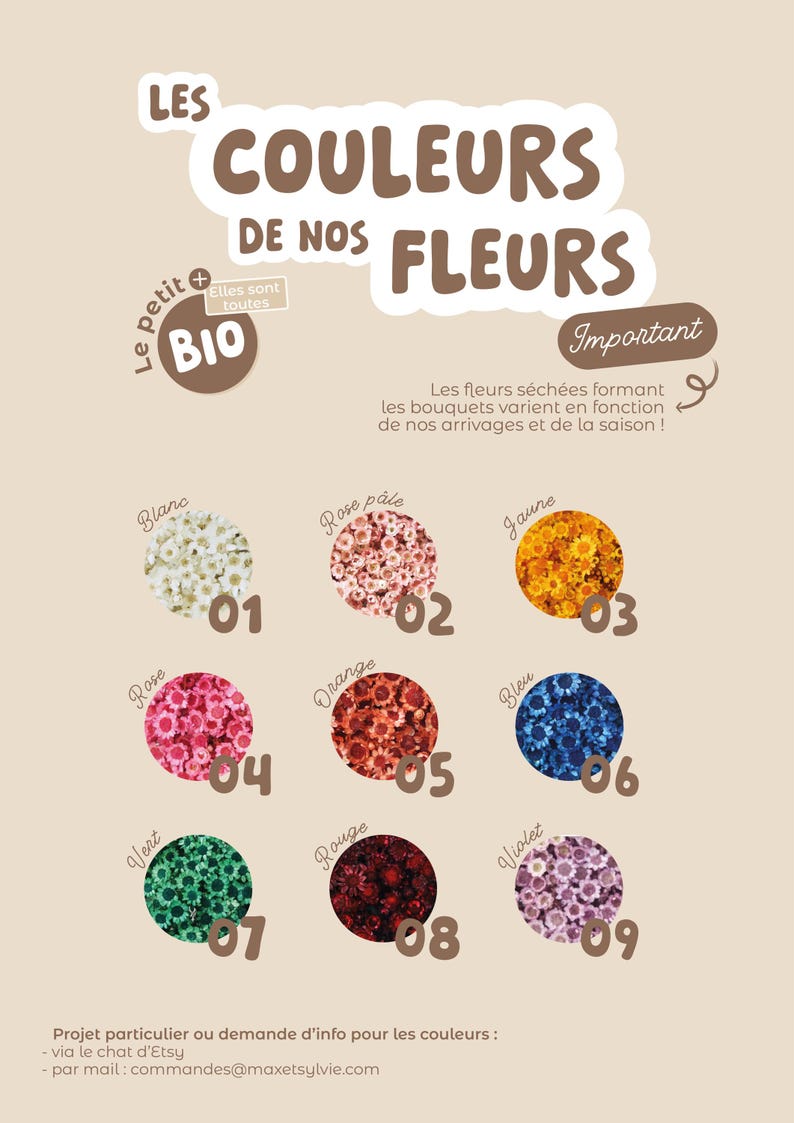 May include: A chart showing nine different colors of dried flowers, labeled in French. The colors are white, pale pink, yellow, pink, orange, blue, green, red, and purple. The text at the top of the chart reads "Les Couleurs de Nos Fleurs" and "Le Petit + Bio". The text at the bottom of the chart reads "Projet particulier ou demande d'info pour les couleurs: - via le chat d'Etsy - par mail: commandes@maxetsylvie.com".
